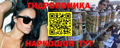 хмурый Бийск