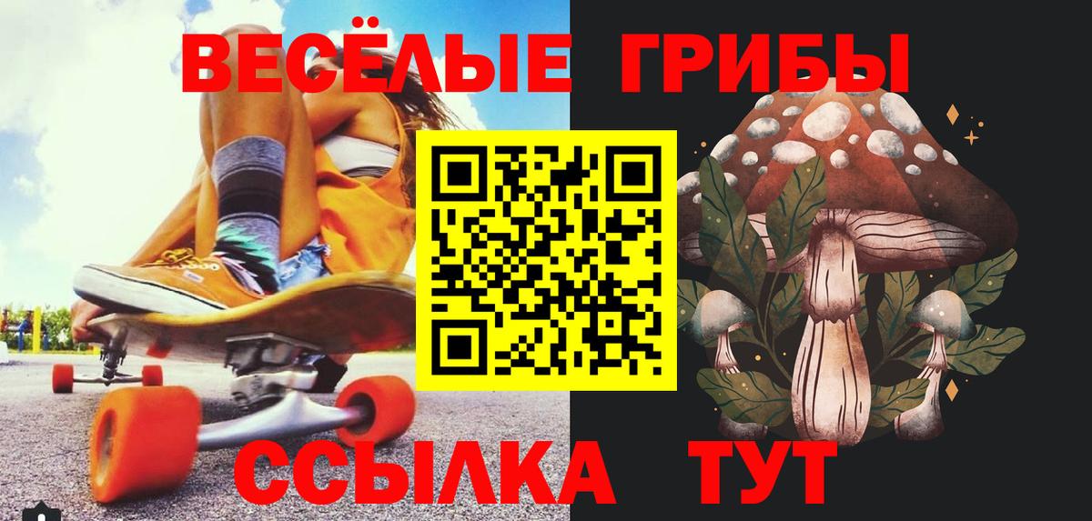 Псилоцибиновые грибы ЛСД Каспийск