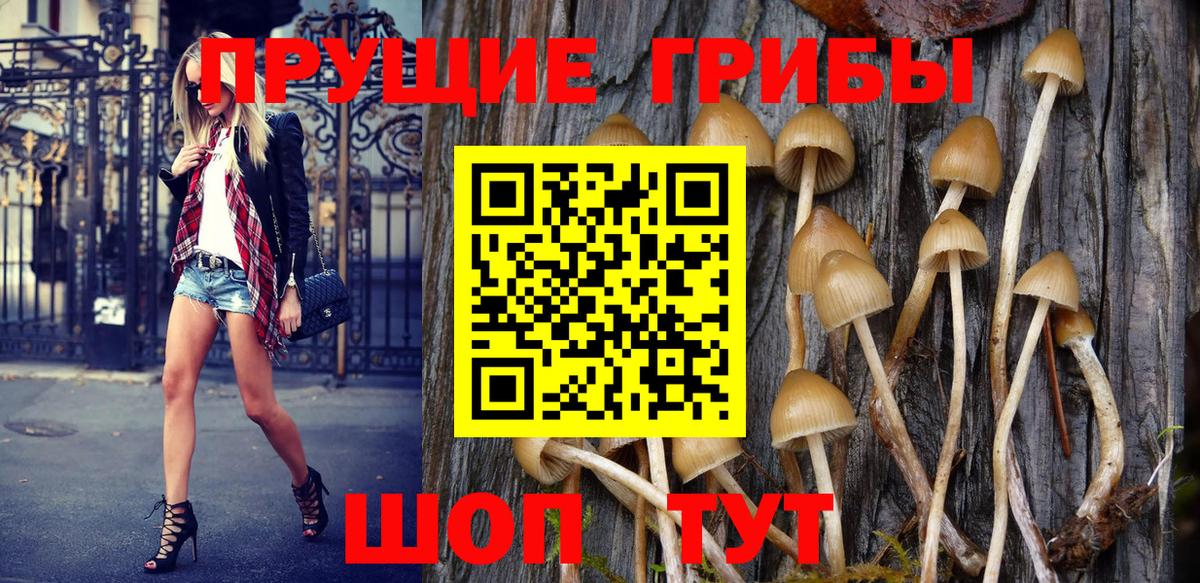 Галлюциногенные грибы Psilocybe  Псилоцибиновые грибы Magic Shrooms  Каспийск  Вход с VPN 